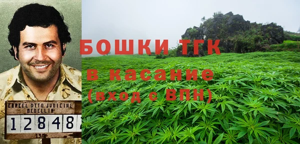 метадон Алексин