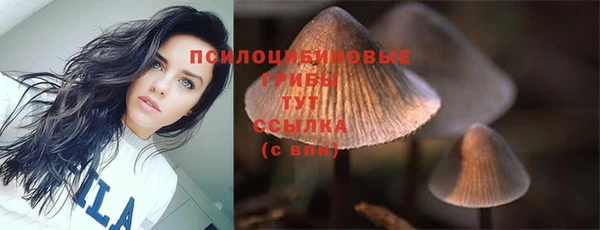 гашиш Абаза